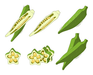 vector set illustration, vegetable abelmos okra gombo on white background. - obrazy, fototapety, plakaty