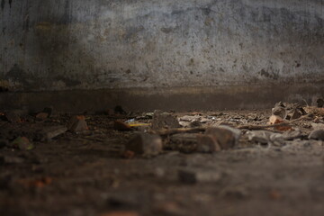 abandoned house floor