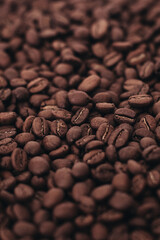 Aromatic dark brown coffee beans background. Top view. vertical photo with film grain effect