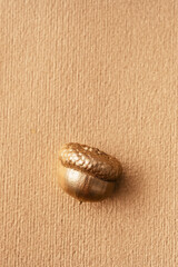 autumn background with golden acorns top view