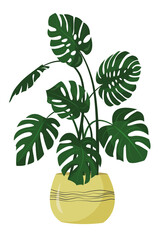 monstera flower in a yellow flower pot isolated on a white background. A monster in a flat style. Homemade green flowers.