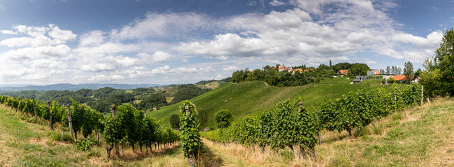 Obraz premium panoramic view summer in southern styria, an old wine growing country in austria named südsteirische weinstrasse. vineyard with windmill called klapotetz 