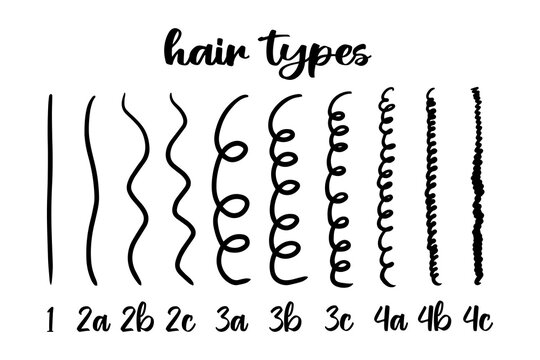 Infographic vector illustration with different hair types - straight, wavy, curly, coily. Curly girl method. Hair type guide with labels. Curl patterns classification