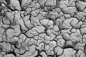 Ground cracks occured after drought in black and white tones