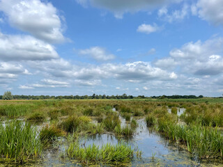 Nature reserve around Eastermar