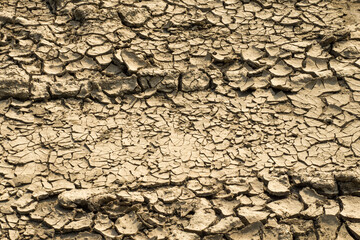 Cracked dried earth suffering from drought. Global warming, climate change concept