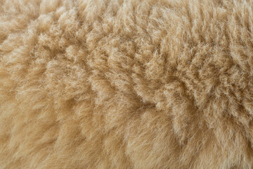 Doggy fluffy fur texture background
