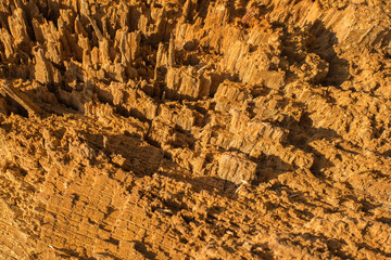 Abstract texture of a broken wood close up detail