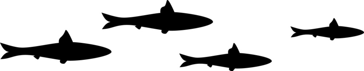 Black silhouette of school of small fishes isolated on white background