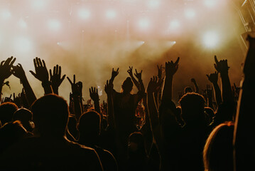 crowd of people dancing in the concert