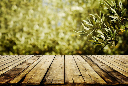 Old wooden table  for product display with natural green olive field bokeh background. Natural vintage tabletop persepective and blur olive tree layout design.