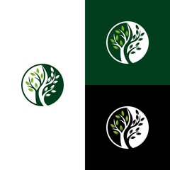 yin yang tree logo - obrazy, fototapety, plakaty