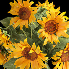 3D illustration of Flower bouquet of sunflowers in a vase isolated on black background 