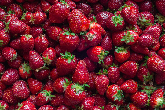 close up of fresh summer strawberries