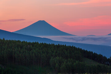 Fototapeta premium 夏の霧ヶ峰高原から夜明けの富士山