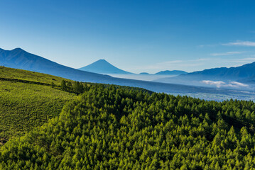Fototapeta na wymiar 夏の霧ヶ峰高原から朝の富士山