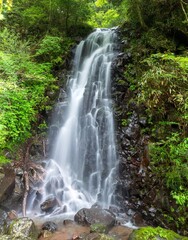 深緑の湯河原六方の滝