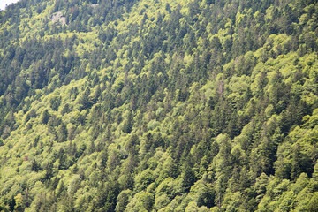 Meadows, lakes, rivers, woods  and mountains  in the Aragonese Pyrenees bordering the French border