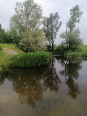 Fototapeta na wymiar lake in the park