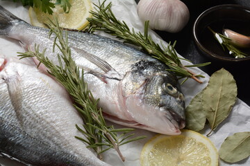 Raw fresh uncooked dorado or sea bream fish with lemon, herbs, oil, vegetables and spices on on white paper over black background
