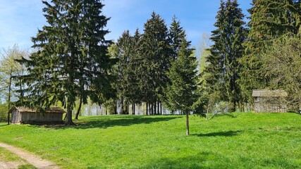 village cellar on a hill among the trees