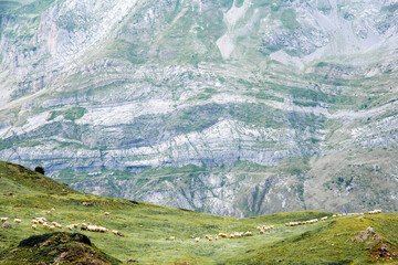 Meadows, lakes, rivers, woods  and mountains  in the Aragonese Pyrenees bordering the French border