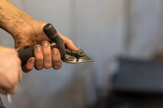 shearer holding handpiece showing dirt under fingernails