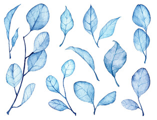 Set of watercolor soft turquoise and blue leaves isolated on white background. Hand painted aquarelle floral illustrations. Vibrant leaves on branches. Botanical paintings. Floral objects