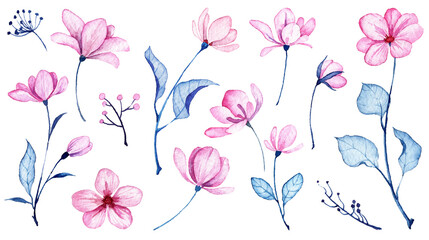 Set of watercolor soft pink and purple flowers isolated on white background. Hand painted aquarelle floral illustrations. Flowers blossom with blue leaves. Botanical paintings. Floral objects