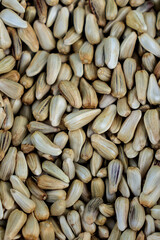 Sunflower seeds