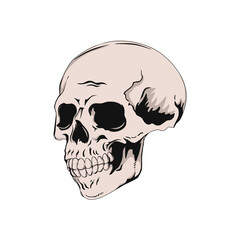 illustration skull for tshirt in black background