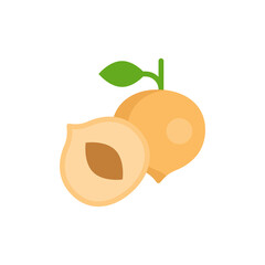 peach (Prunus persica) isolated on a white background