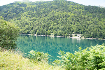 Meadows, lakes, rivers, woods  and mountains  in the Aragonese Pyrenees bordering the French border