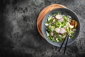 Spring salad with radishes, arugula and cottage cheese on dark background, Restaurant menu, dieting, cookbook recipe