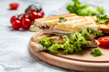 Hot panini with salad. Food recipe background. Close up
