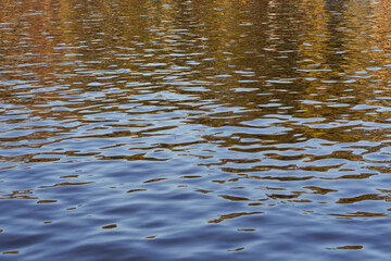 texture brown water texture. lake surface soft focus. horizontal