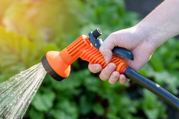 Hose watering plants in the garden by the farmer. Watering with gun nozzle. Shallow depth of field