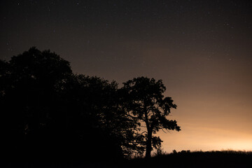 Obraz na płótnie Canvas night sky