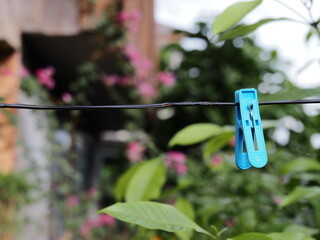 A blue clothespin on the wire