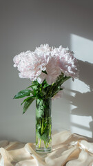 Bouquet of pastel peonies in a glass vase with shadows on gray background. Vertical oriented image with blossoms. Stylish bouquet of pink and white flowers on pastel cloth.