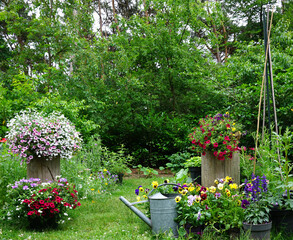 Urban garden / small / mini / English flowers vertical garden nice and green fresh start of the summer. landscaped decoration garden.