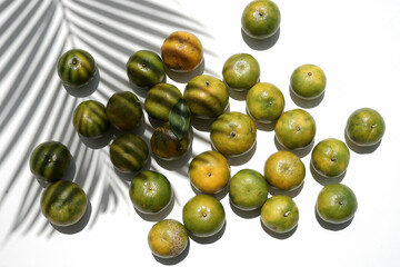 Orange with shadow of tree