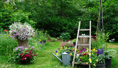 Beautiful garden. Wild herb and field flowers. English cottage style gardening picture. Gardening...