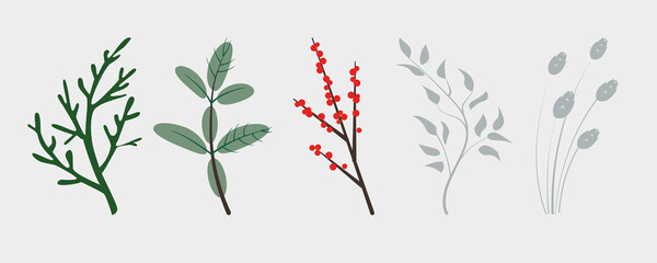 Vector branches of winter plants, conifers christmas tree, holly plant berries and ears. Perfect for christmas and new year designs.