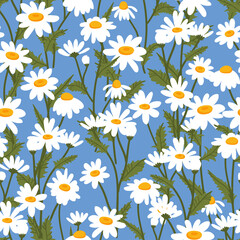 Chamomile vector seamless pattern. Floral ditsy texture with small white daisy flowers, buds and leaves for fabric, wrapping, textile and wallpaper.