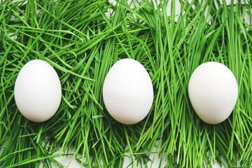 Three chicken eggs on the freshly mown green grass.