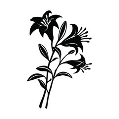 Black lily silhouette. Flowers stencil wall art. Floral isolated template. Vector illustration