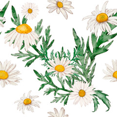 Watercolor illustration of chamomile flower pattern. Drawn by hand with watercolors and is suitable for all types of design and printing