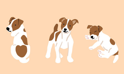 brown and white dog drawing set