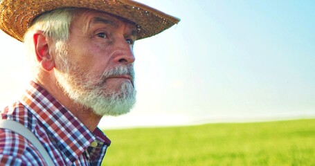 Portrait of senior man with beard in the green field on the blue sky background sunny day. Face of farmer worker at the summer nature. Farming people concept